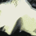 indo(le baiser)